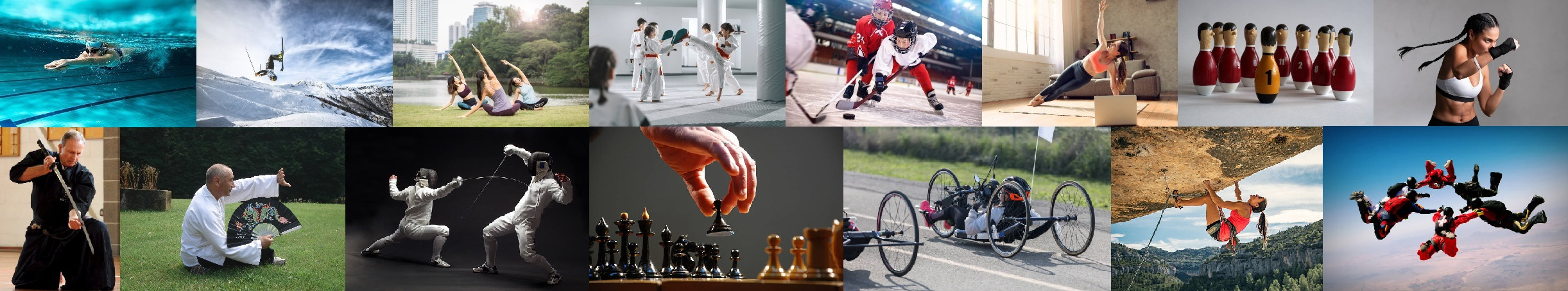 Le discipline